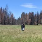 A woman in a wide, grassy meadow, with tall, darkened pine trees behind her and blue sky above