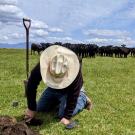 A broad pasture with mountains in the background and dramatic clouds in a blue sky. A man wearing a white cowboy hat holds a shovel in his hand and is stooped down, looking at the ground.