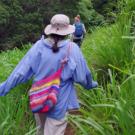 From the back, we see a woman in a flowing lavender shirt, hat and pink backpack walking through tall green grass toward dense dark-green trees.