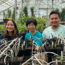 Three young people in a greenhouse, with seedlings in front of them