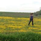 Researcher Julia Michaels standing in a field of frying pans, an uplands plant endemic to California. Photo courtesy of Julia Michaels