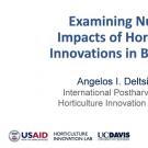 "Examining Nutrition Impacts of Horticultural Innovations in Bangladesh" title slide